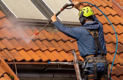Démoussage et hydrofuge de toiture à Lantignié